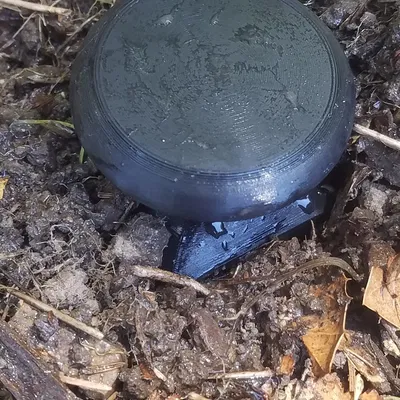 Hệ thống khởi động hạt giống - Tái sử dụng & In tại chỗ