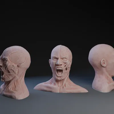 Giải phẫu của cơn thịnh nộ