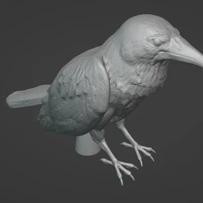 Đỉnh cây thông và đồ trang trí hình quạ