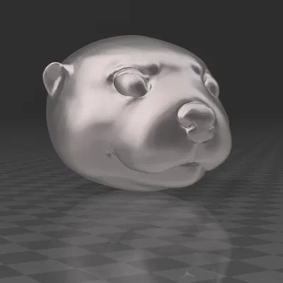 Móc khóa/Khuyên tai/Đồ treo hình đầu rái cá