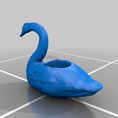 Chậu hoa thiên nga có lỗ thoát nước