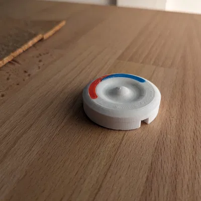 Nắp trung tâm vòi tắm Moen