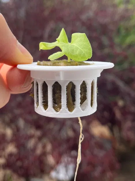 Giá đỡ netcup thủy canh bằng đá bông cho cây giống - Image 1