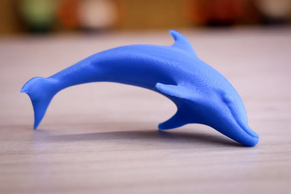 Mô hình cá heo cho người khiếm thị từ bộ sưu tập Kamil - Image 1