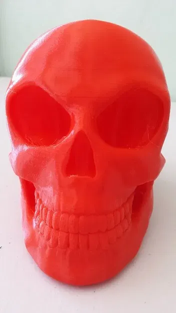 *Hộp sọ được tạo hình trong Zbrush* - Image 1