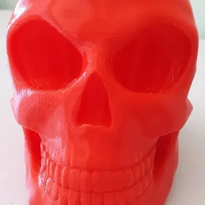 *Hộp sọ được tạo hình trong Zbrush*