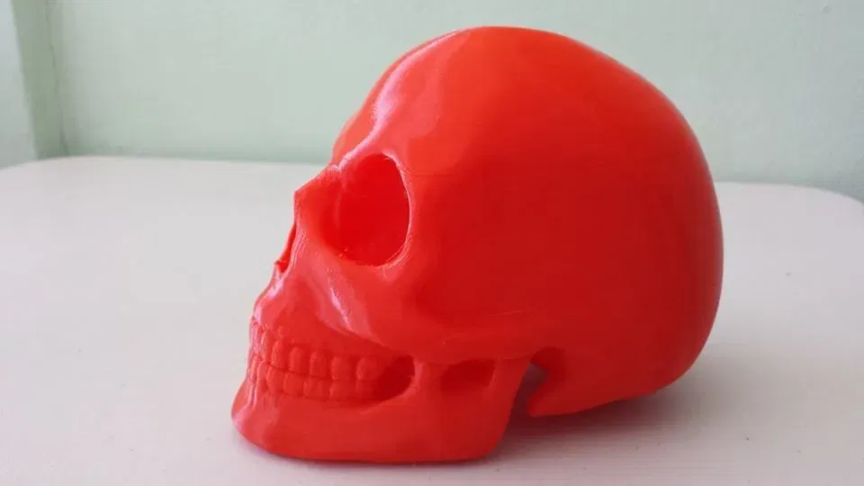 *Hộp sọ được tạo hình trong Zbrush* - Image 2