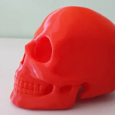 *Hộp sọ được tạo hình trong Zbrush*