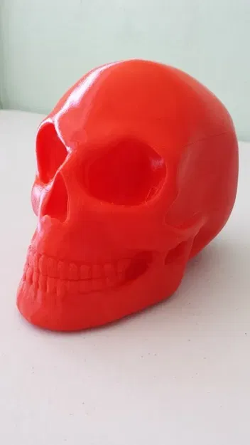 *Hộp sọ được tạo hình trong Zbrush* - Image 3