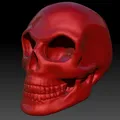 *Hộp sọ được tạo hình trong Zbrush* - Thumbnail 5