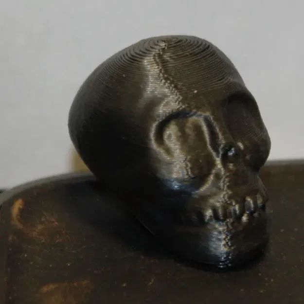 Bình hoa đầu lâu trong chế độ in siêu tốc - Image 2