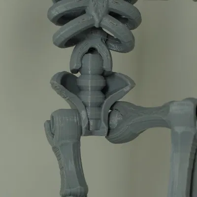 Bộ xương đồ chơi lắp ghép từ Tinkercad