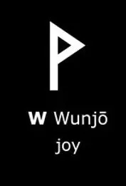 Mặt dây chuyền rune Viking hai mặt - Wunjo - Image 2