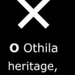 Mặt dây chuyền Rune Viking hai mặt - Othila
