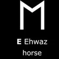 Mặt dây chuyền Rune Viking đôi mặt - Ehwaz - Thumbnail 2
