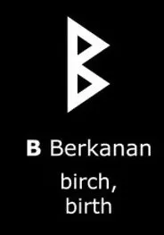 Mặt dây chuyền Viking hai mặt - Biểu tượng rune Berkanan - Image 2
