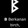Mặt dây chuyền Viking hai mặt - Biểu tượng rune Berkanan - Thumbnail 2