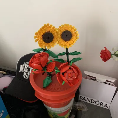 Chậu hoa lego với ngăn kéo trang sức tiện lợi