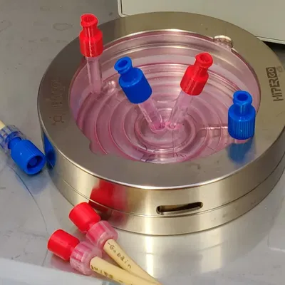 Nắp Luer Lock Nam/Nữ Đầu Đôi