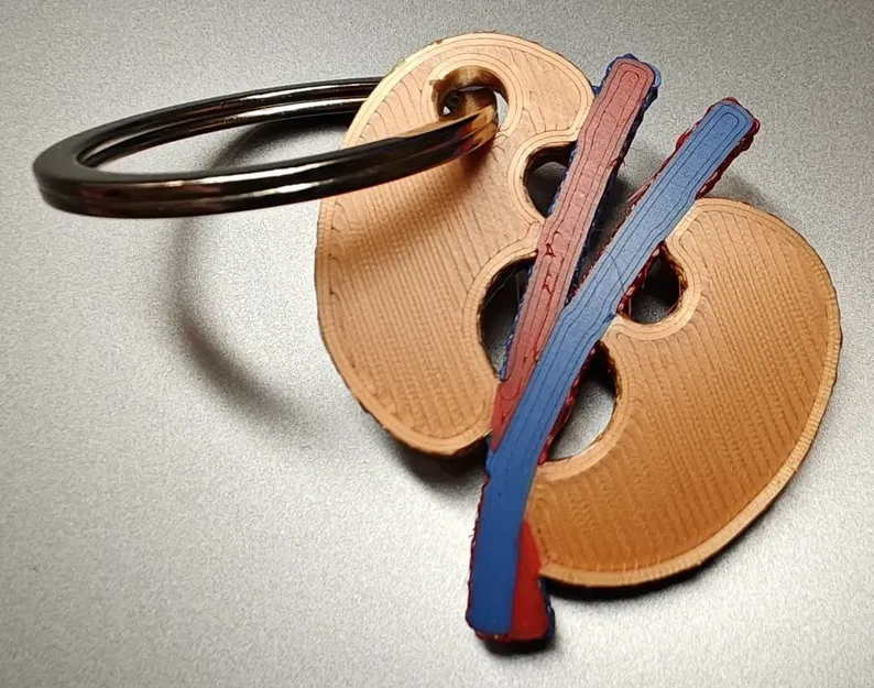 Móc khóa thận người 3D dành cho bác sĩ mới tốt nghiệp - Image 2