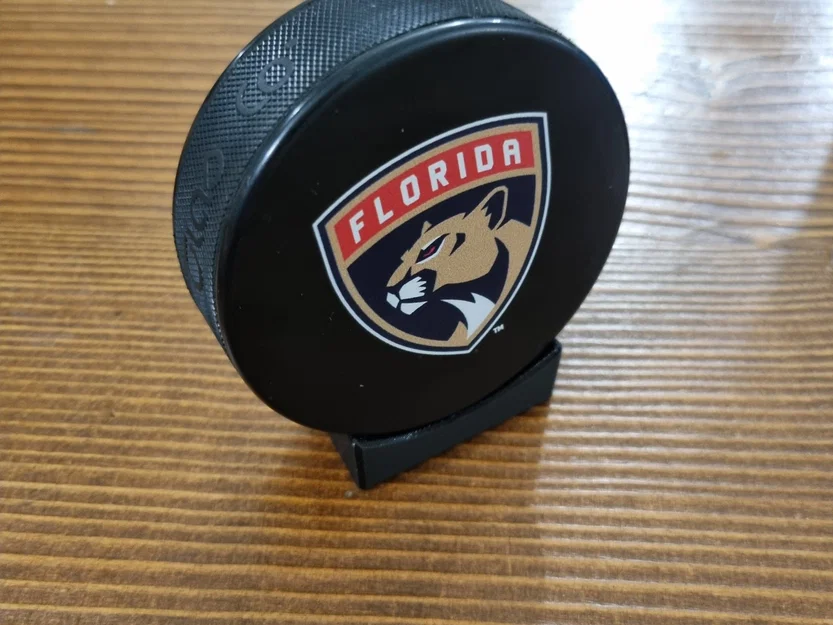 Giá đỡ đĩa hockey nhỏ gọn và đơn giản - Image 1