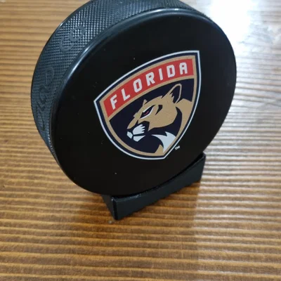 Giá đỡ đĩa hockey nhỏ gọn và đơn giản