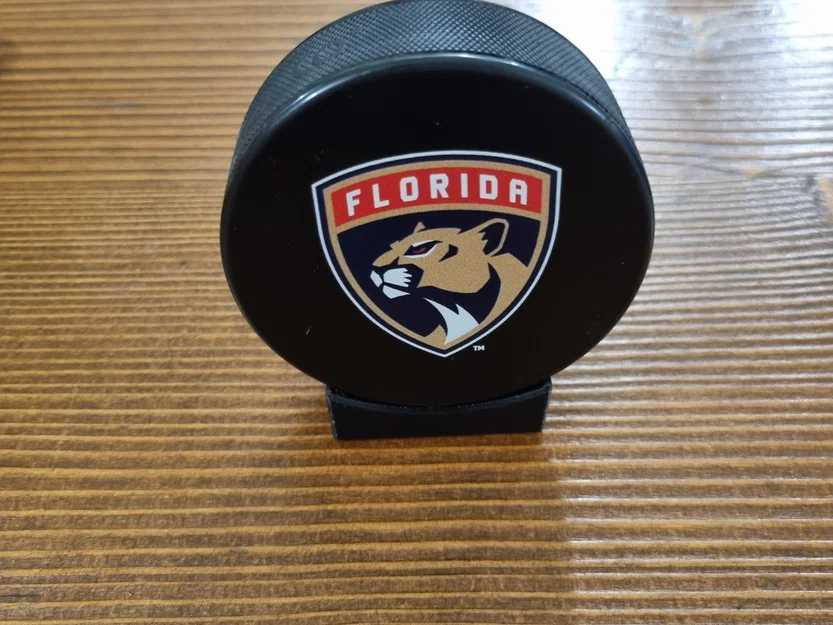 Giá đỡ đĩa hockey nhỏ gọn và đơn giản - Image 4