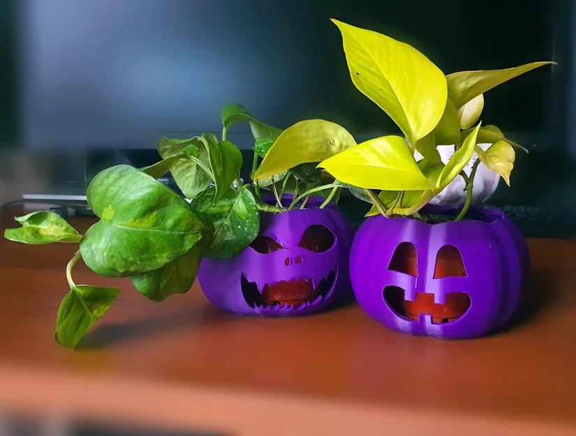 Chậu bí ngô dễ thương và đáng sợ cho trang trí Halloween - Image 1