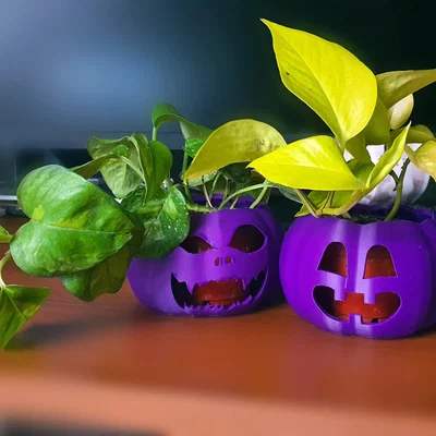 Chậu bí ngô dễ thương và đáng sợ cho trang trí Halloween