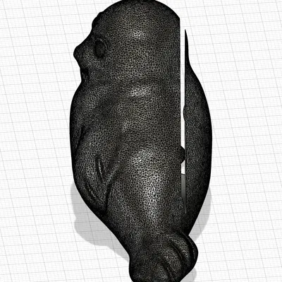 Giá đỡ ảnh hình con dấu cho những bức ảnh nhỏ