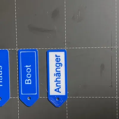 Móc khóa tùy chỉnh hai màu với thiết kế đa dạng