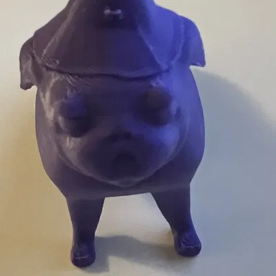 Chú pug phù thủy dễ thương với viên ngọc huyền bí