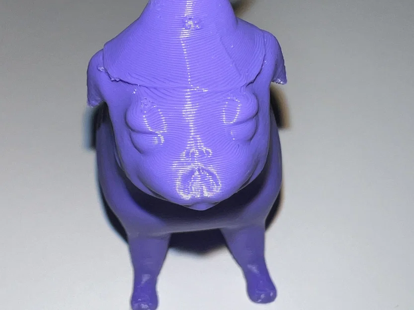 Chú pug phù thủy dễ thương với viên ngọc huyền bí - Image 4