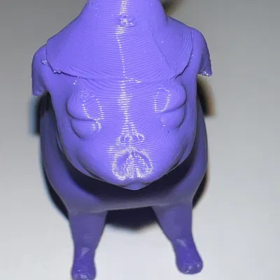 Chú pug phù thủy dễ thương với viên ngọc huyền bí