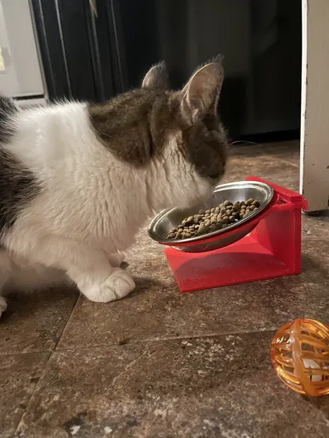 Giá đỡ bát ăn cho thú cưng có độ cao và góc nghiêng - Image 1