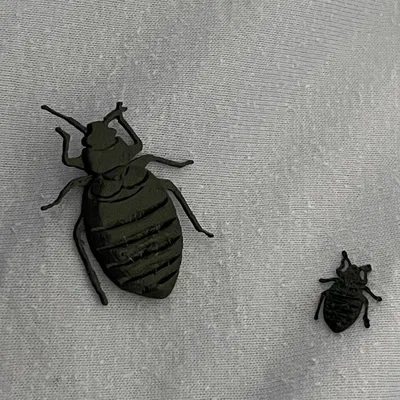 Bọ xít giường - Biểu tượng mới của thành phố Paris