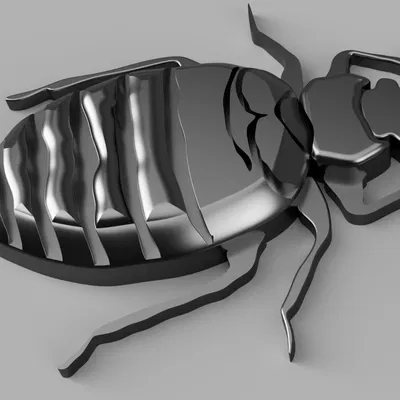 Bọ xít giường - Biểu tượng mới của thành phố Paris