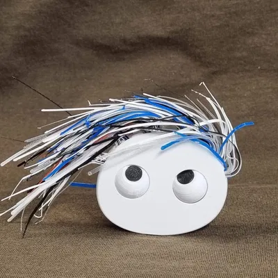 Ngày tóc xấu của Pebble