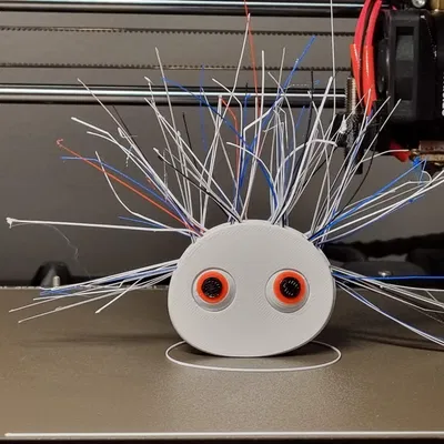 Ngày tóc xấu của Pebble