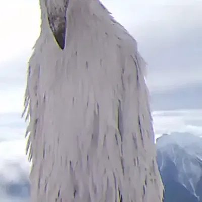 Chim xói mòn phần 2 từ xu hướng tiktok