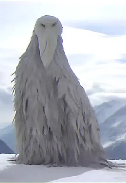 Chim xói mòn phần 2 từ xu hướng tiktok - Image 3