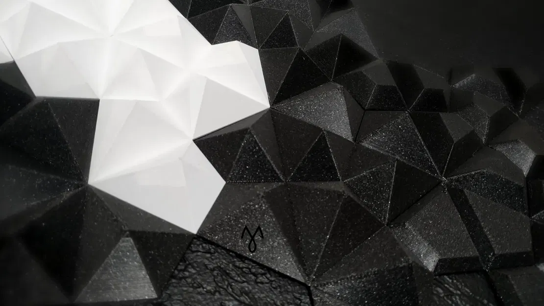 Mô hình gạch tường aperiodic "Monotile" độc đáo - Image 2