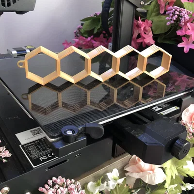 Giá đỡ bông tai tổ ong treo tường