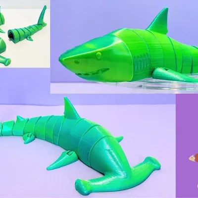 Bộ cá mập linh hoạt và cá mập đầu búa