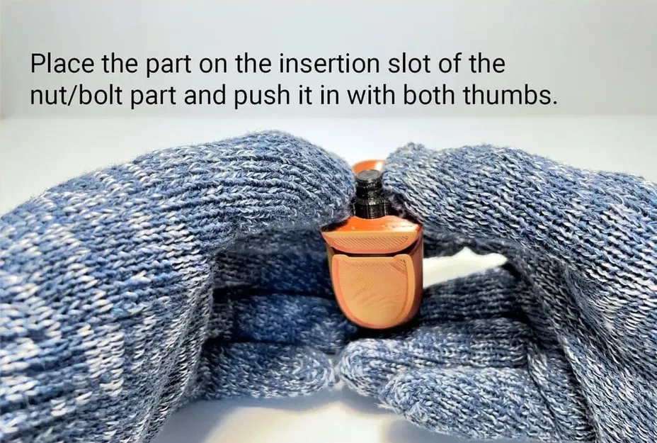 Bộ cá mập linh hoạt và cá mập đầu búa - Image 8