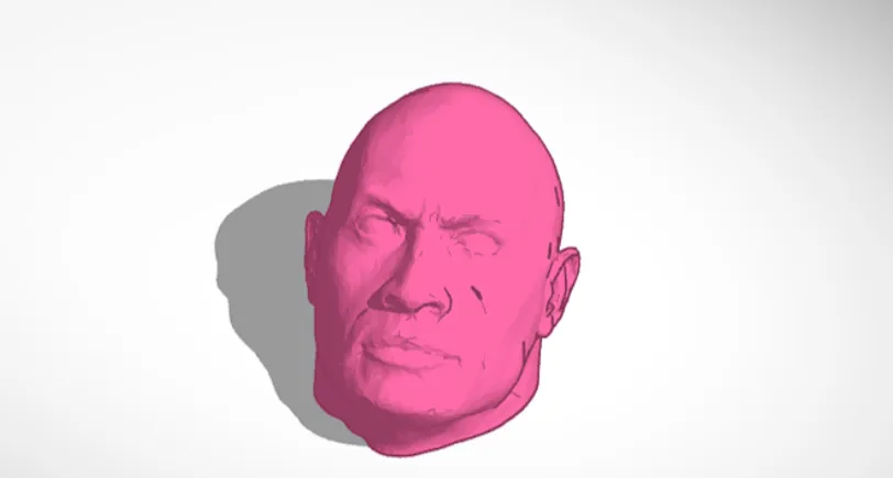 Đầu của khối đá nghệ thuật độc đáo - Image 1