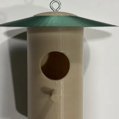 Nhà cho chim ruồi trú đông tại Tây Bắc Thái Bình Dương