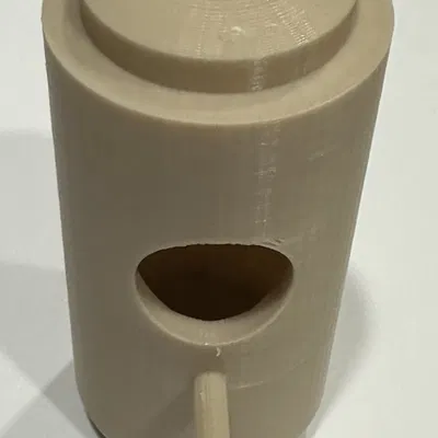 Nhà cho chim ruồi trú đông tại Tây Bắc Thái Bình Dương