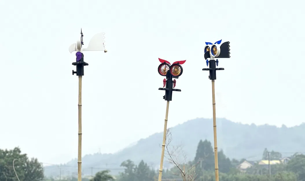 Cú Punk — Thiết bị xua đuổi chim - Image 3