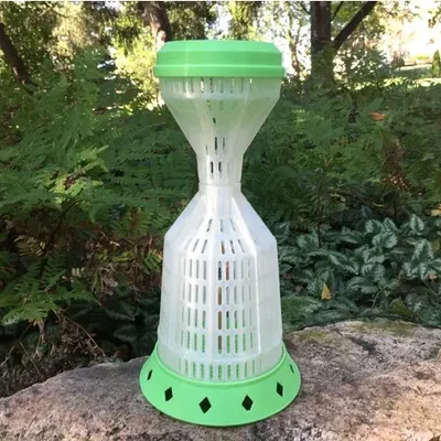 Hộp đựng côn trùng Bug Zoo Jar cho trẻ em